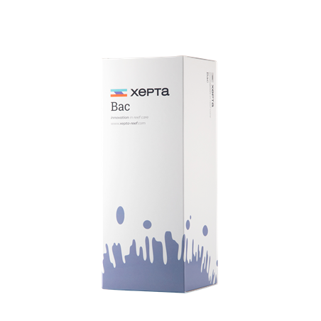 Xepta Bac