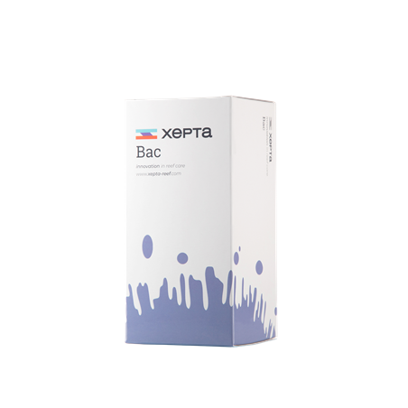 Xepta Bac